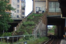 Zukunft des Internet: Zugewachsen und zugemauert oder?