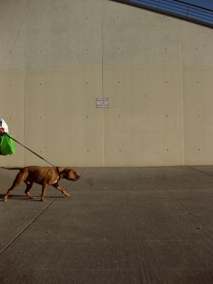 Wer übernimmt den Lead? [madochab | photocase.de]