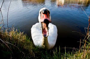 Konversation findet überall statt. (Foto: zettberlin | photocase)
