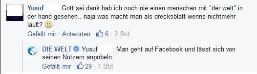 Die Welt_3